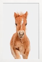 JUNIQE - Poster met houten lijst Foal -13x18 /Bruin