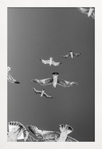 JUNIQE - Poster in houten lijst Soaring Birds -20x30 /Grijs & Wit