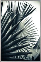 JUNIQE - Poster met kunststof lijst Palm Shade 2 -30x45 /Grijs & Groen