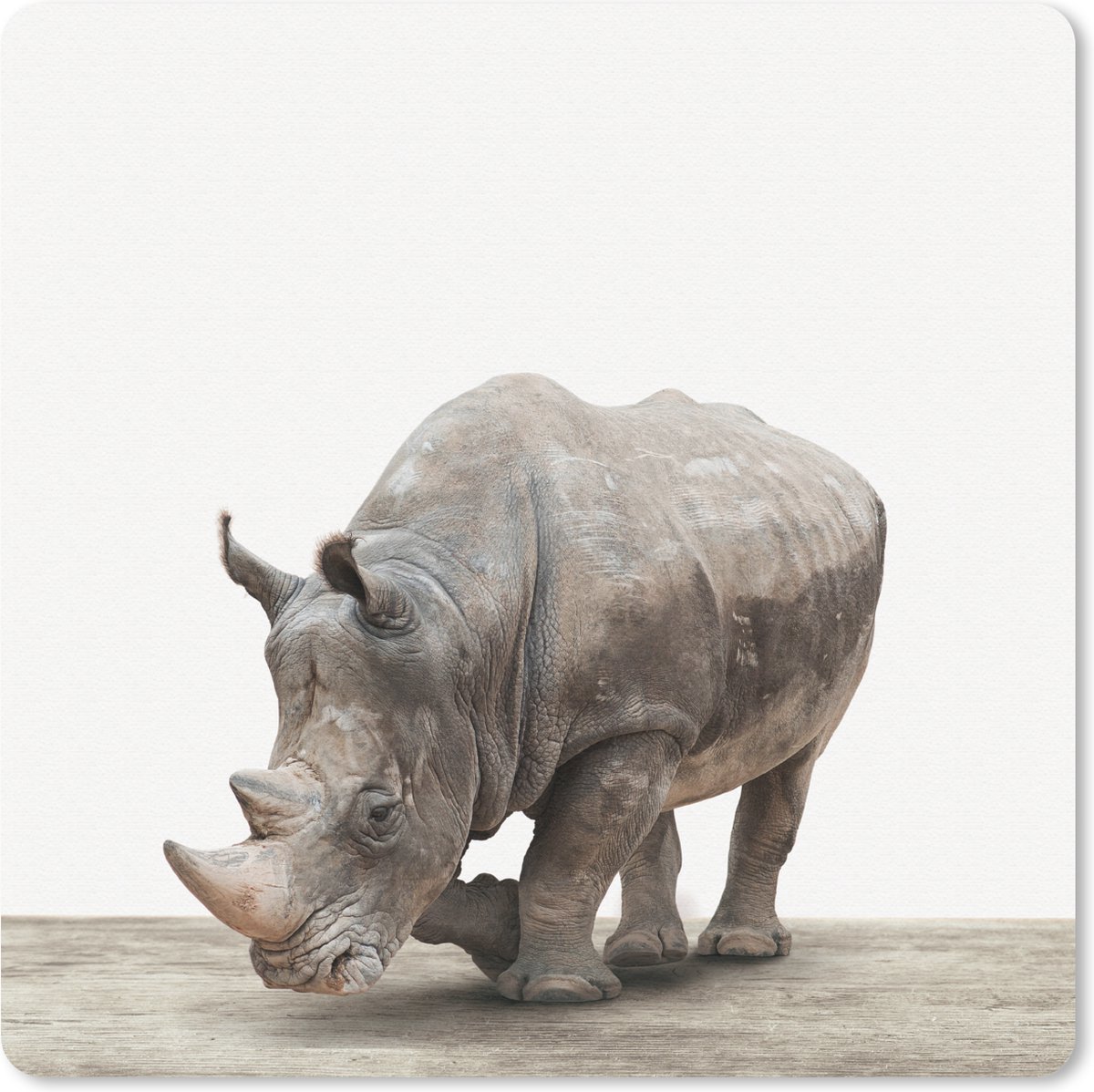Muismat Animalprintshop - Neushoorn dierenprint muismat rubber - 20x20 cm - Muismat met foto