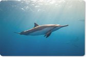 Muismat Dolfijn - Fotoprint van een dolfijn muismat rubber - 27x18 cm - Muismat met foto