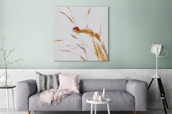 Coccinelle sur toile herbe 80x60 cm - Tirage photo sur toile (Décoration murale salon / chambre) / Peintures sur toile animaux