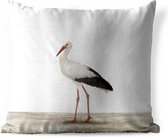 Sierkussen Animalprintshop voor buiten - Ooievaar dierenprint - 60x60 cm - vierkant weerbestendig tuinkussen / tuinmeubelkussen van polyester