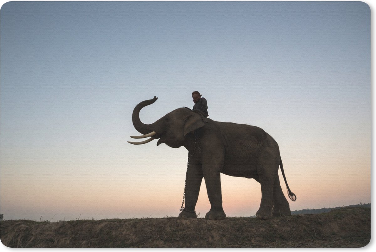 Bureau onderlegger 60x40 cm - Muismat Een illustratie van een olifant met een kleurrijke zonsondergang - Bureaulegger xl - Desk mat beschermer - Computer muismatten