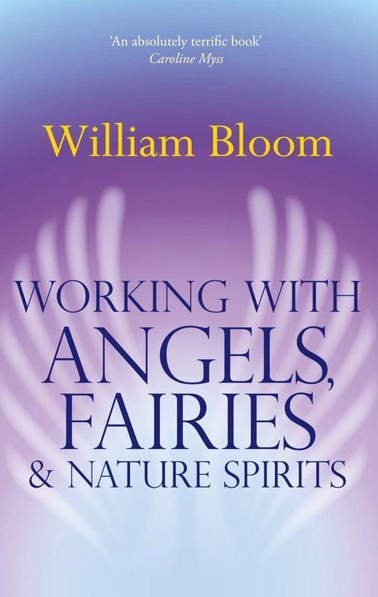 Working With Angels, Fairies And Nature Spirits - cover