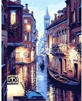 Painting Expert® Schilderen op nummer Volwassenen – Schilderen op nummer Kinderen - Gracht - 40x50cm - Op Lijst Gemonteerd (24 kleurtjes)