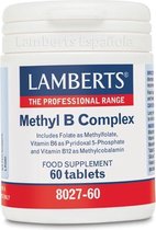 Methyl B Complex - 60Tb