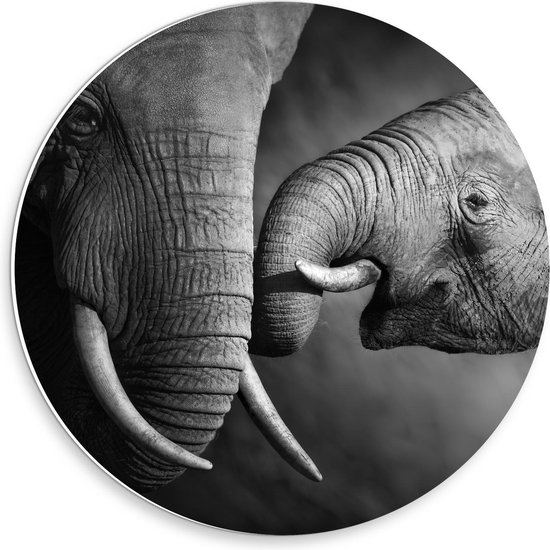 Forex Wandcirkel - Baby Olifant bij Moeder (Zwart - Wit) - 30x30cm Foto op Wandcirkel (met ophangsysteem)