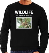 Dieren foto sweater Luiaard - zwart - heren - wildlife of the world - cadeau trui Luiaarden liefhebber S