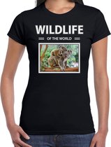 Dieren foto t-shirt Koala - zwart - dames - wildlife of the world - cadeau shirt koalabeer liefhebber XS