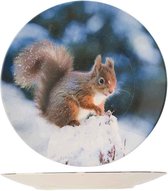 Squirrel Dinnerborden - D25,3cm (set van 6)