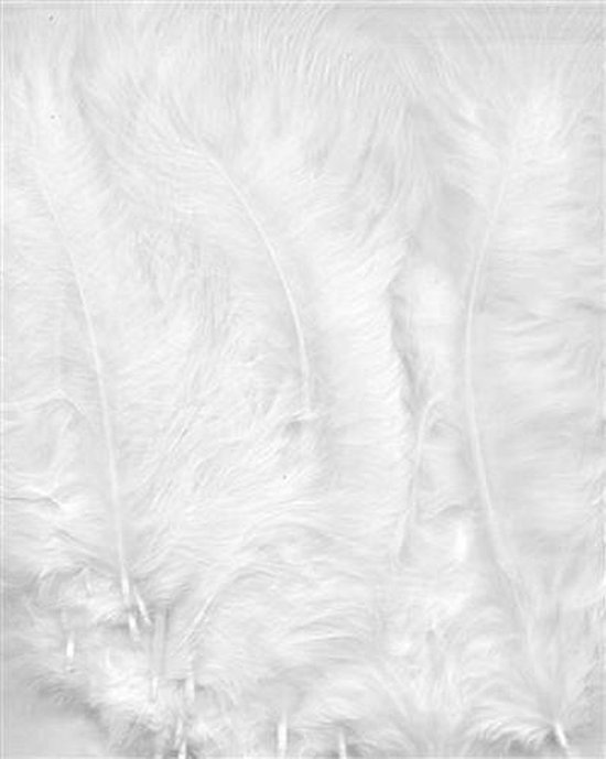 Witte Marabou veren - 7 tot 12 cm hoog -  15 Stuks
