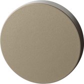 GPF1100.A4.0900 Champagne blend blinde rozet rond 50x8mm