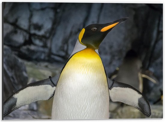 Dibond - Geel met Zwarte Pinguïn  - 40x30cm Foto op Aluminium (Met Ophangsysteem)