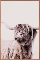JUNIQE - Poster met kunststof lijst Highland Cattle Frida Crème -30x45