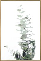 JUNIQE - Poster met kunststof lijst Eucalyptus foto -40x60 /Groen &