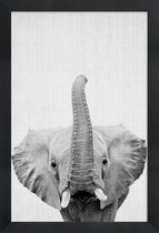 JUNIQE - Poster in houten lijst Olifant zwart-wit foto -20x30 /Wit &