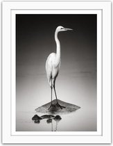 Foto in frame , Reiger , 3 maten , Zwart wit , wanddecoratie , Premium print