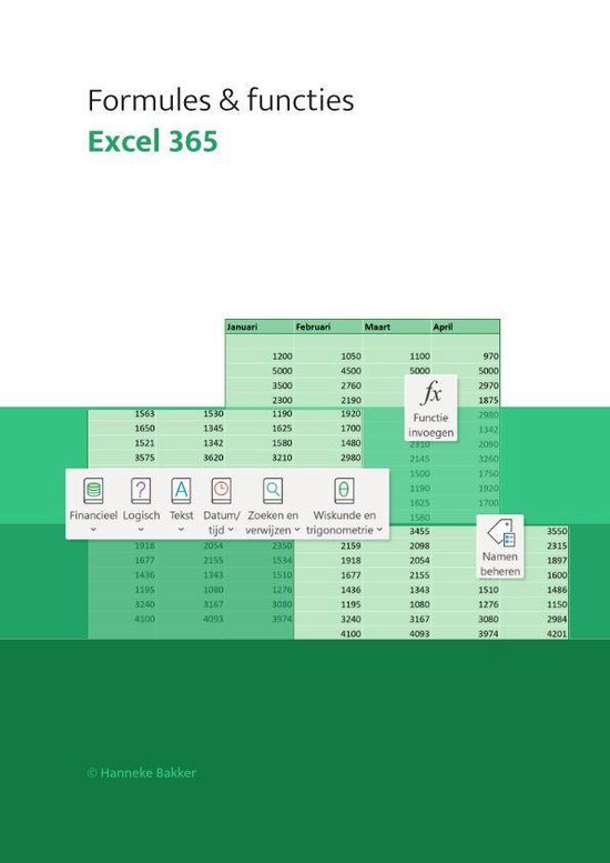 Excel 365 Formules & functies