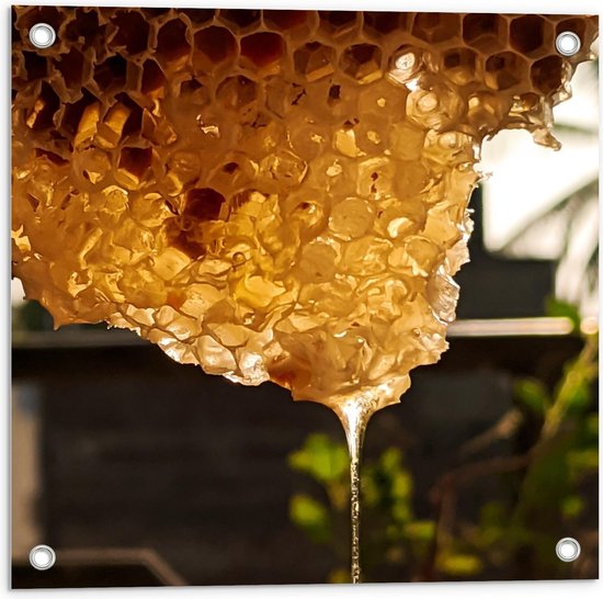 Tuinposter – Bijenkorf met veel Honing - 50x50cm Foto op Tuinposter  (wanddecoratie voor buiten en binnen)