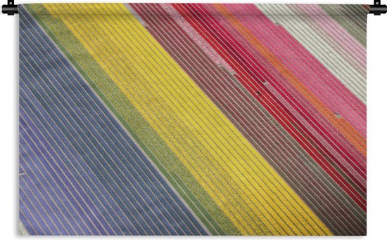 Tapisserie Paysages Nederland - Image colorée de fleurs aux Nederland -Bas Tapisserie coton 60x45 cm - Tapisserie avec photo