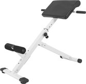 Gyronetics Hyperextensie Bank - Rugtrainer - Belastbaar tot 120 kg - Roman  chair | bol.com