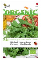 Buzzy® Organic Rucola Wilde Meerjarige (BIO)