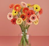 Bloom Makery - Zonnige Favoriet - Bloemen - Boeket - 30 Gerbera's