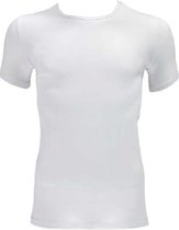 Apollo - T-shirts heren - Ronde hals - 2-pack - Bio-Katoen
