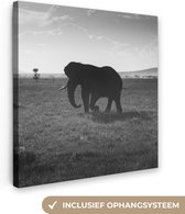 Tableau sur toile Éléphant - Uni - Animaux - Zwart et blanc - 20x20 cm - Décoration murale