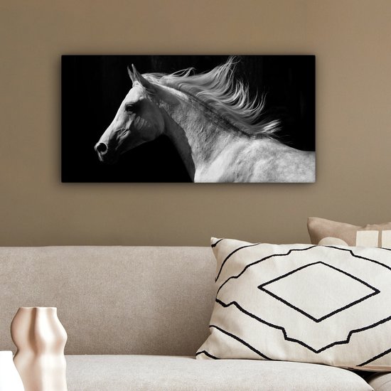 Tableau sur Toile Paarden - Animal de la Ferme - Crinière - 40x20 cm - Décoration murale