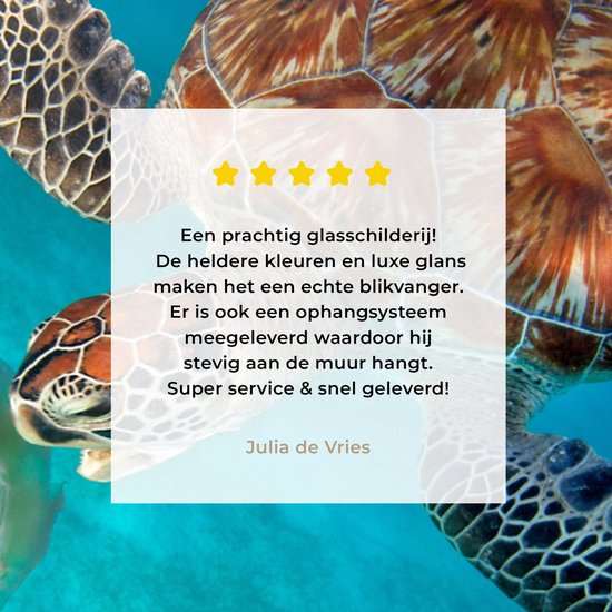 Peinture sur verre - Tortue verte avec méduse - 180x120 cm - Peintures Plexiglas