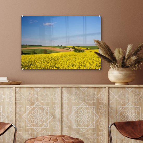 MuchoWow® Peinture sur verre 60x40 cm - Peinture sur verre acrylique - Printemps - Fleurs - Jaune - Photo sur verre - Peintures