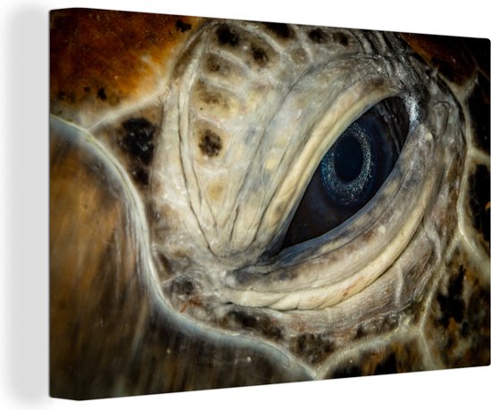 Canvas Schilderij Close-up karetschildpaddenoog - 120x80 cm - Wanddecoratie