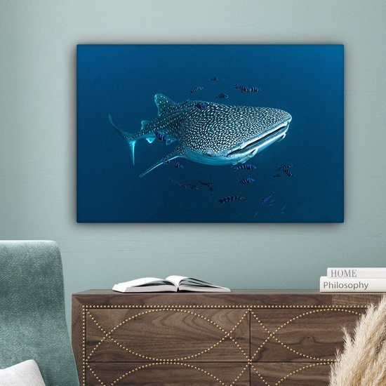 Tableau sur toile Un requin baleine à pois - 150x100 cm - Décoration murale