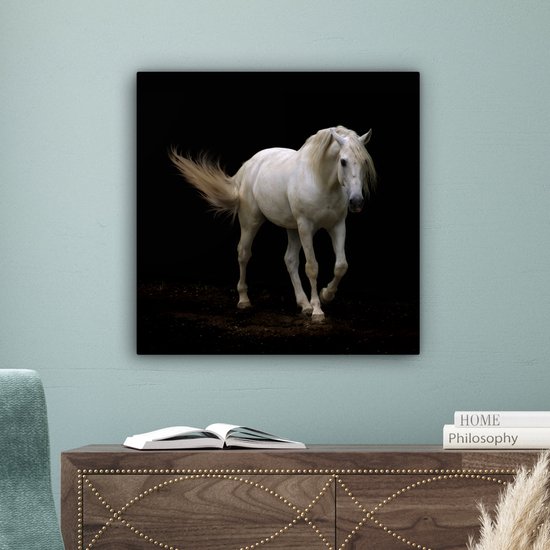 Cheval Wit devant une toile fond noir 2cm 50x50 cm - impression photo sur toile peinture Décoration murale salon / chambre à coucher) / Animaux sauvages Peintures Toile