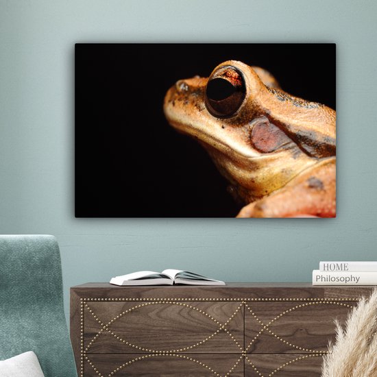 Canvas Schilderij Kikker - Oog - Zwart - 90x60 cm - Wanddecoratie