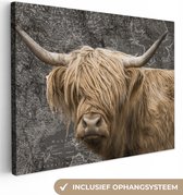Canvas Wereldkaart - 160x120 - Wanddecoratie Schotse hooglander - Wereldkaart - Dieren
