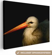 Canvas Schilderij Vogel - Snavel - Veren - 40x30 cm - Wanddecoratie