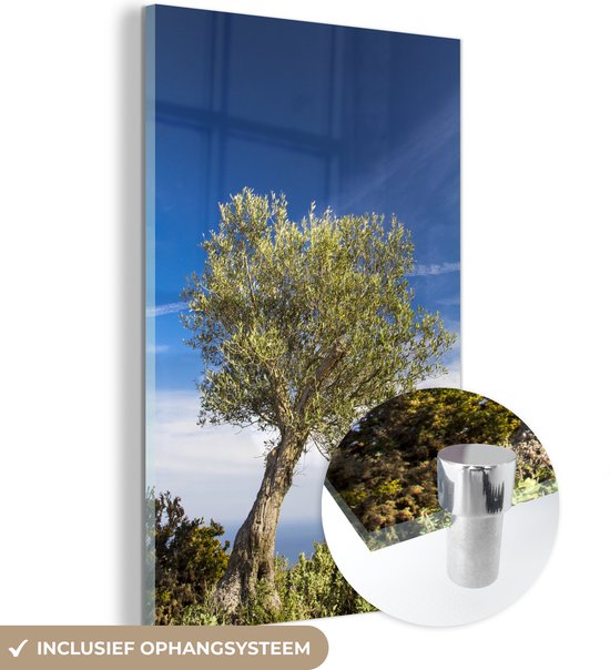 MuchoWow® Glasschilderij 120x180 cm - Schilderij acrylglas - Een olijfboom onder een blauwe lucht - Foto op glas - Schilderijen