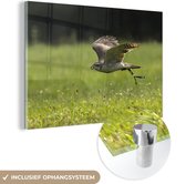 MuchoWow® Peinture sur verre 120x80 cm - Peinture sur verre acrylique - Un faucon juste au dessus d'un champ vert - Photo sur verre - Peintures