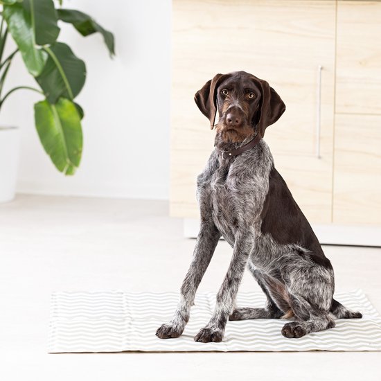 Navaris koelmat hond en kat - Honden koelmatras 81 x 96 cm tegen warmte - Gel koelkussen voor middelgrote tot grote hondenrassen - Zigzagpatroon