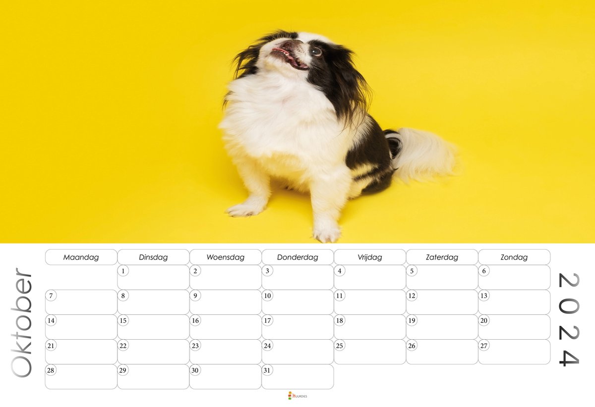 XL 2024 Kalender - Jaarkalender - Japanese Chin  bol
