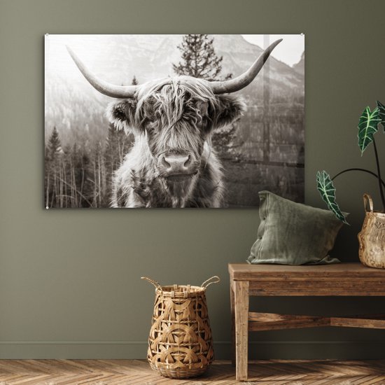MuchoWow® Peinture sur Verre - Highlander écossais - Vache - Animaux - Zwart - Wit - 90x60 cm - Peintures sur Verre Acrylique - Photo sur Glas