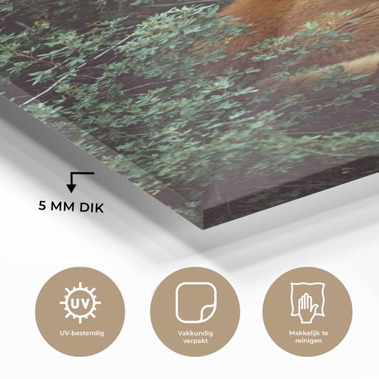 MuchoWow® Peinture sur Verre - Renard - Nature - Forêt - 100x150 cm - Peintures sur Verre Acrylique - Photo sur Glas