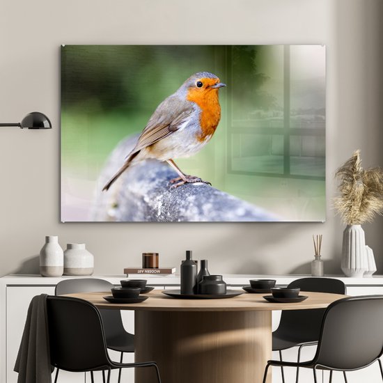 Robin sur une clôture en bois Plexiglas 120x80 cm - Tirage photo sur Glas (décoration murale en plexiglas)