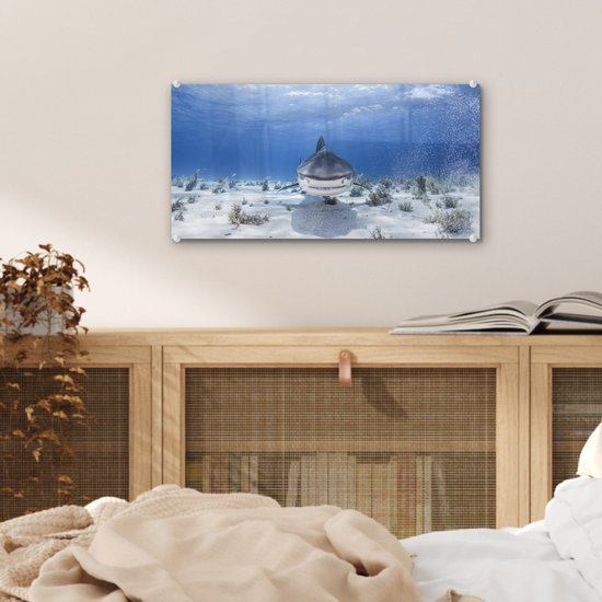 MuchoWow® Peinture sur Verre - Requin Nageur - 40x20 cm - Peintures sur Verre Acrylique - Photo sur Glas