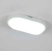 Goeco LED Plafondlamp - Plafonniere wit - klein - Koel Licht - 15 W