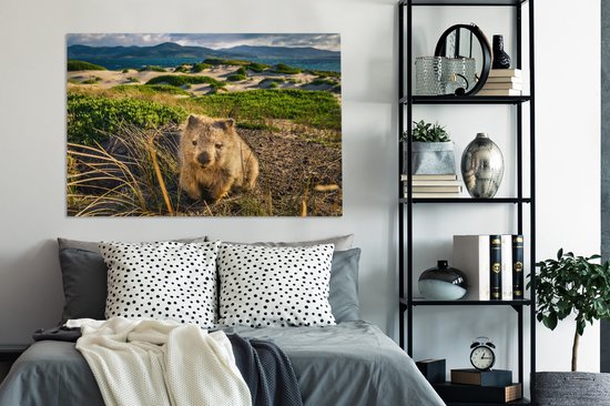 Un wombat dans un environnement verdâtre 140x90 cm - Tirage photo sur toile (Décoration murale salon / chambre)