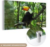 MuchoWow® Glasschilderij 80x40 cm - Schilderij acrylglas - Toekan in boom - Foto op glas - Schilderijen